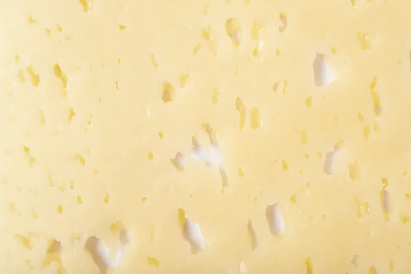 Textura de queijo close-up — Fotografia de Stock
