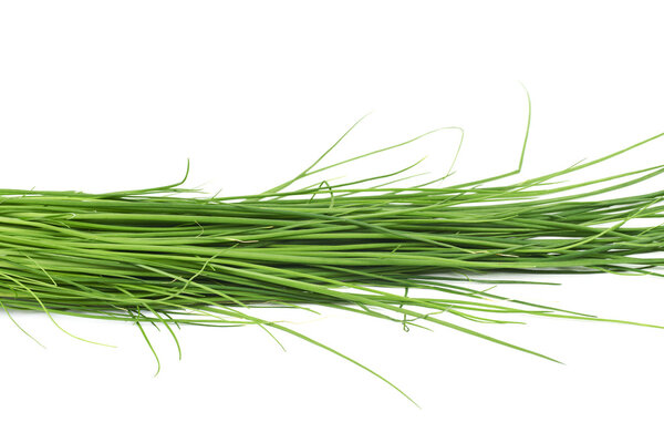 Close-up fragment of scallions isolated