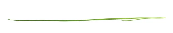 녹색 양파 scallions 절연 — 스톡 사진