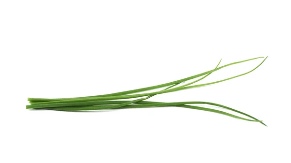 Groene ui scallions geïsoleerd — Stockfoto