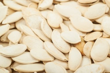 Kabak çekirdeği ile kaplı yüzey