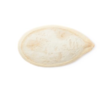 Kabak Çekirdeği yakın çekim izole