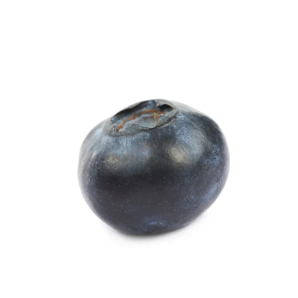 Single ripe bilberry isolated — Stock Photo, Image