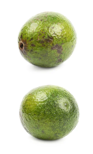 Gefleckte reife Avocadofrucht isoliert — Stockfoto