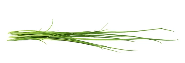 Green onion scallions isolated — Stock Photo, Image