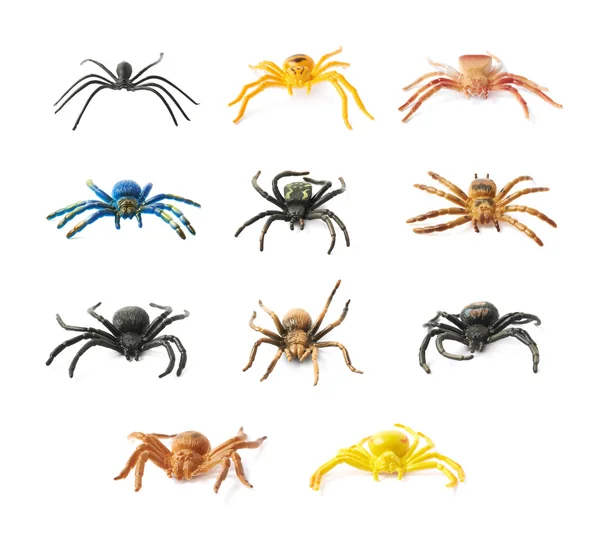 Falso giocattolo di ragno di gomma isolato — Foto Stock