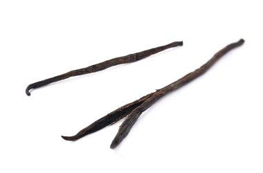 Vanilya pod meyve izole kurutulmuş