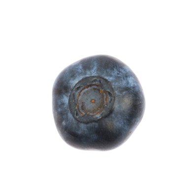 Tek olgun bilberry izole