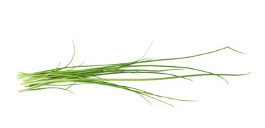 Yeşil soğan scallions izole