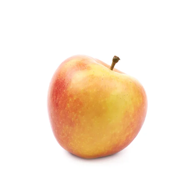 Reifer roter und goldener Jonagold-Apfel — Stockfoto