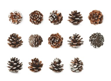 Dekorasyon konisi izole