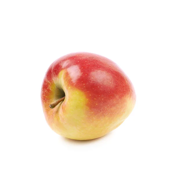 Спелые красное и золотое jonagold яблоко — стоковое фото
