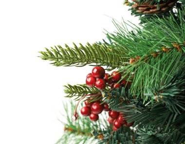 Bir Noel ağacı izole parçası