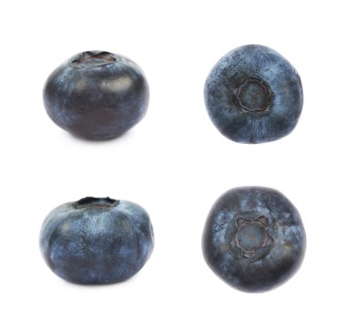 Tek olgun bilberry izole
