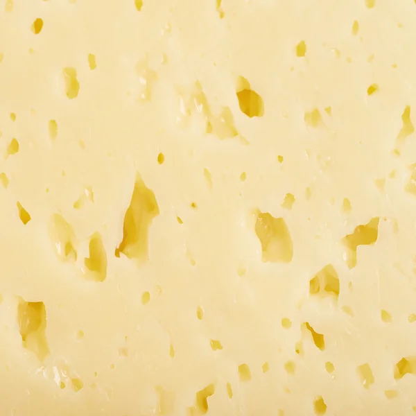 Close-up cheese texture Stock Photo