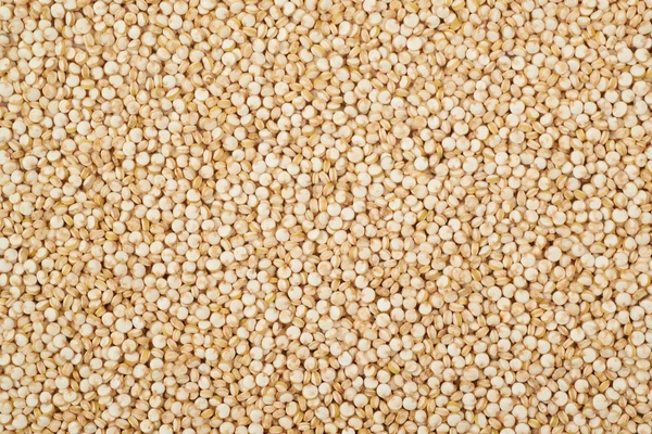 Surface coated with quinoa seeds — Stock Photo, Image