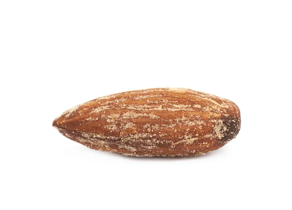 Almond nut isolated — Stock Photo, Image