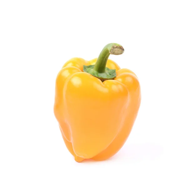 Paprika, samostatný — Stock fotografie