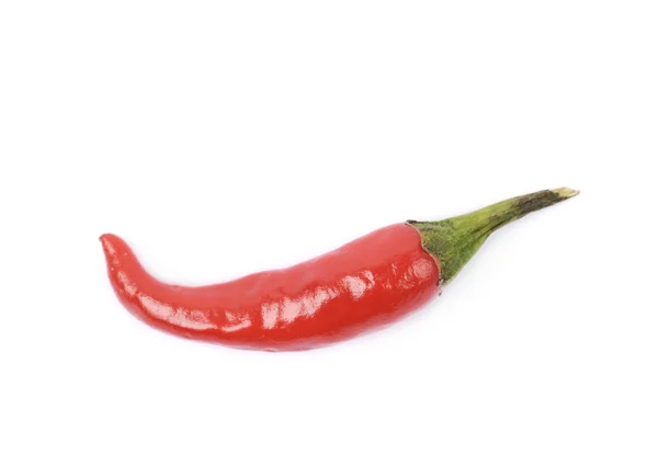 Rode Italiaanse peper geïsoleerd — Stockfoto