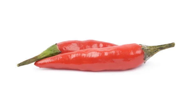 Rode Italiaanse peper geïsoleerd — Stockfoto