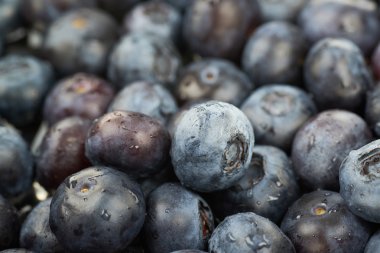 Bilberries ile kaplı yüzey