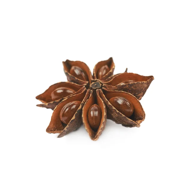 Chinese star anise seed isolated — Stock Photo, Image