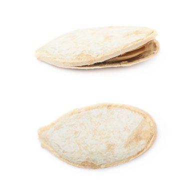 Kabak Çekirdeği yakın çekim izole