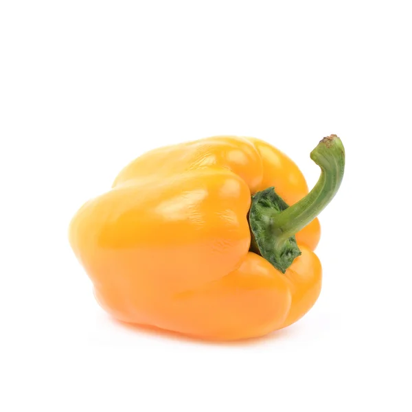 Paprika geïsoleerd — Stockfoto