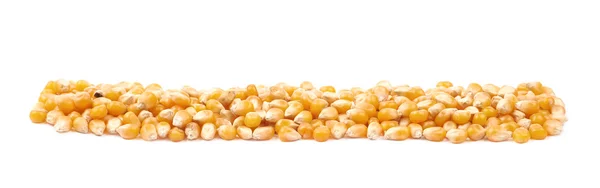 分離されたトウモロコシの穀粒のライン山 — ストック写真