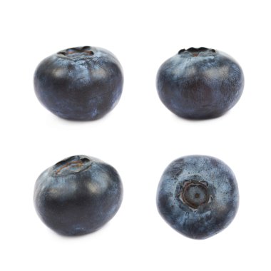 Tek olgun bilberry izole