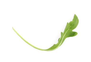 İzole tek yeşil roket salata yaprağı