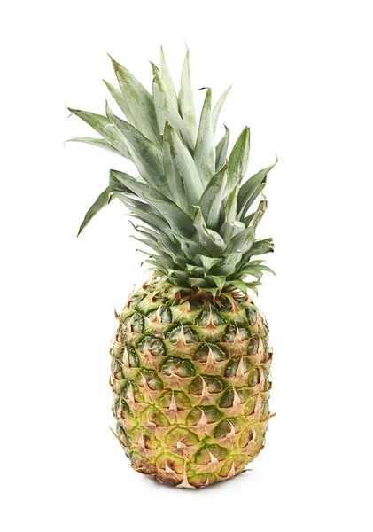 Isolerede modne ananas frugter - Stock-foto