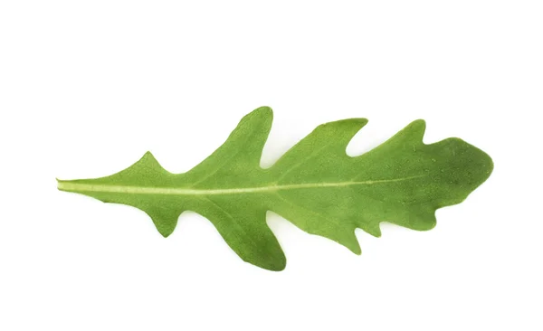 Single green rocket salad leaf isolated — Stock Photo, Image