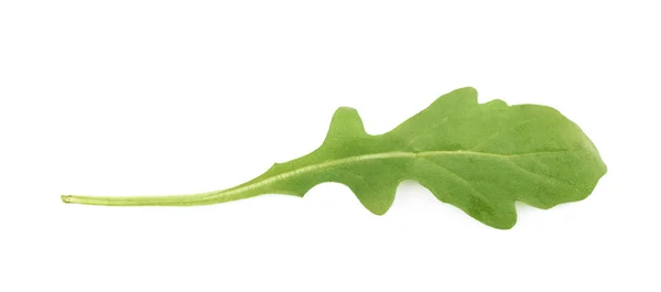 Daun salad roket hijau tunggal terisolasi — Stok Foto