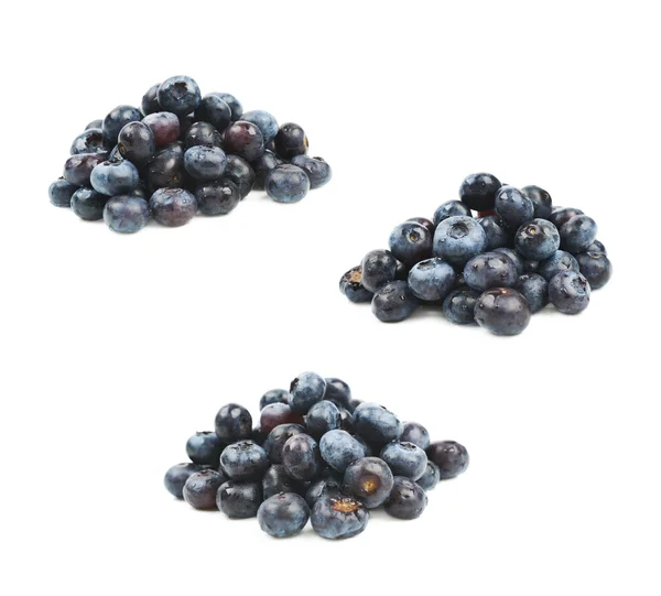 Pile of bilberries isolated — Stock Photo, Image