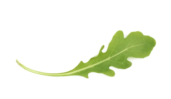 Daun salad roket hijau tunggal terisolasi — Stok Foto