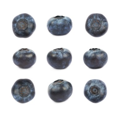 Tek olgun bilberry izole