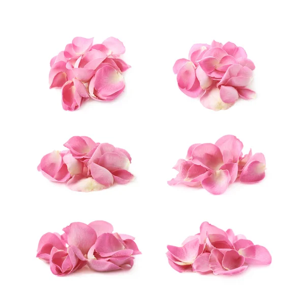 Mucchio di petali di rosa multipli — Foto Stock