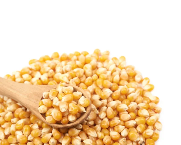 Pile de grains de maïs isolés — Photo