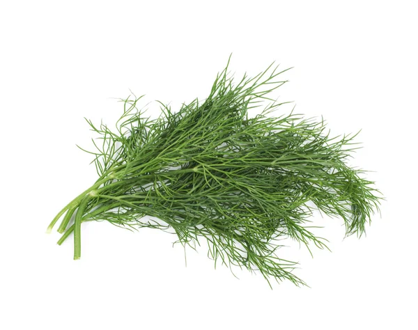Dill herb isolated — Stock Photo, Image