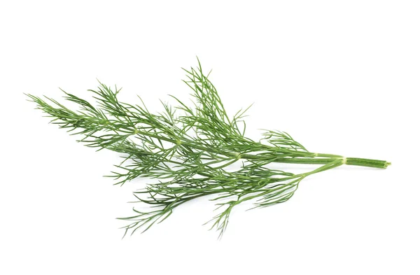 Dill herb isolated — Stock Photo, Image