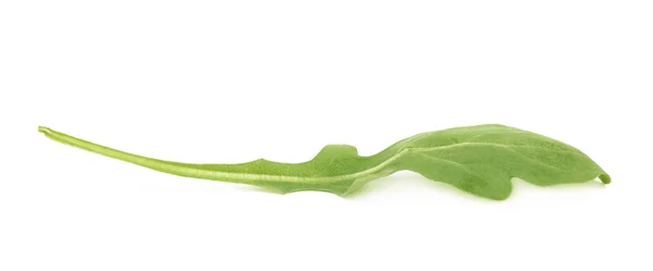 Única folha de salada de foguete verde isolada — Fotografia de Stock