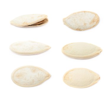 Kabak Çekirdeği yakın çekim izole