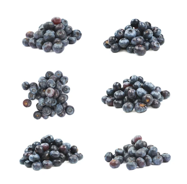 Pile of bilberries isolated — Stock Photo, Image