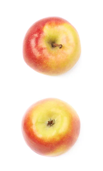 Pomme de jonagold mûre rouge et dorée — Photo