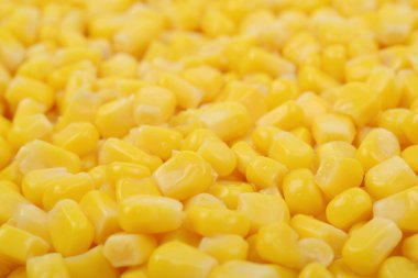 Konserve mısır ile kaplı yüzey