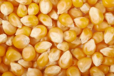 Mısır taneleri ile kaplı yüzey