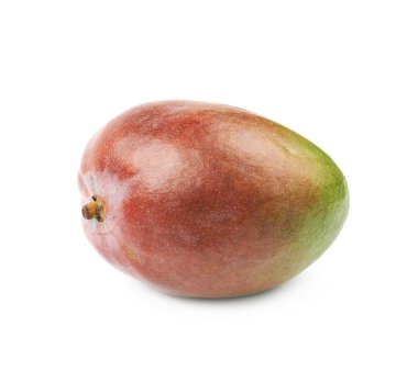 İzole tek olgun mango meyve