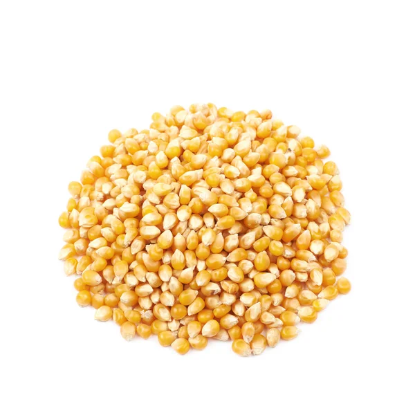 Pile of corn seeds — Stock Photo © jankratochvila 2581338