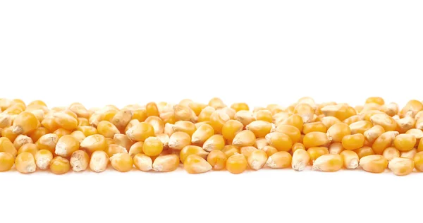 Line pile of corn kernels isolated — Stock Photo, Image